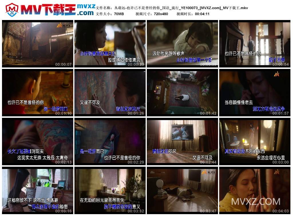 丛萌远-也许已不是曾经的你_国语_流行_YE100073